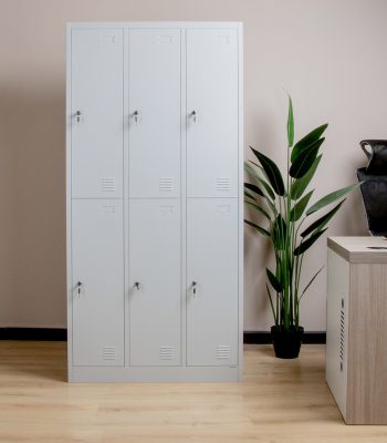 Office locker with 6 compartments, offering secure storage with a sleek, modern design.