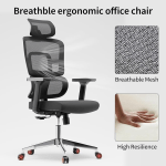 Office Chairs
