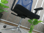Office Chairs