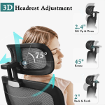 Office Chairs